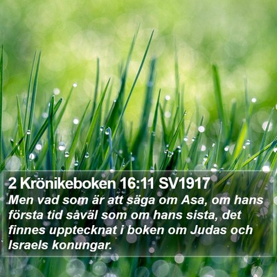 2 Krönikeboken 16:11 SV1917 Bible Verse Image