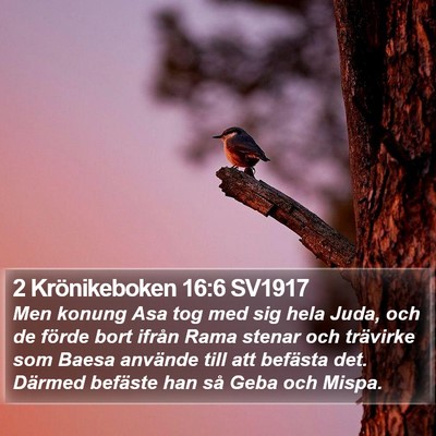 2 Krönikeboken 16:6 SV1917 Bible Verse Image