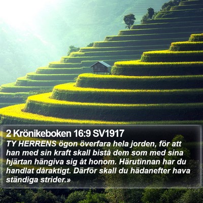 2 Krönikeboken 16:9 SV1917 Bible Verse Image