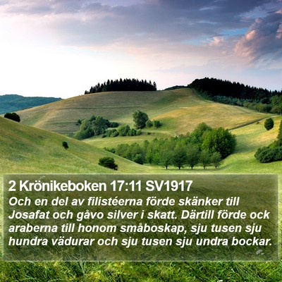 2 Krönikeboken 17:11 SV1917 Bible Verse Image