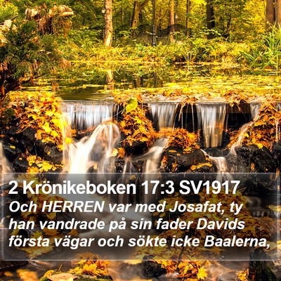 2 Krönikeboken 17:3 SV1917 Bible Verse Image