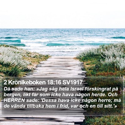 2 Krönikeboken 18:16 SV1917 Bible Verse Image