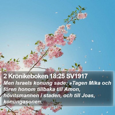 2 Krönikeboken 18:25 SV1917 Bible Verse Image
