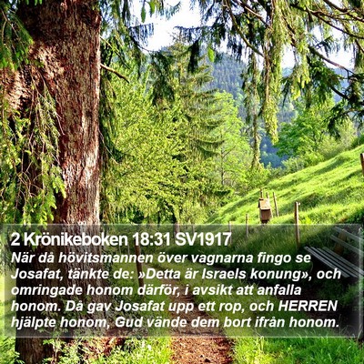 2 Krönikeboken 18:31 SV1917 Bible Verse Image