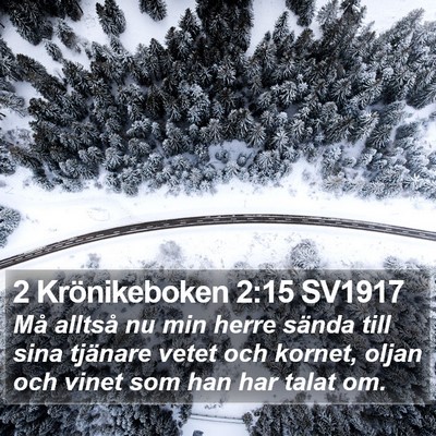 2 Krönikeboken 2:15 SV1917 Bible Verse Image