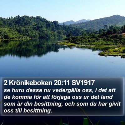 2 Krönikeboken 20:11 SV1917 Bible Verse Image