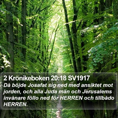 2 Krönikeboken 20:18 SV1917 Bible Verse Image