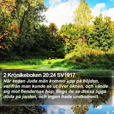 2 Krönikeboken 20:24 SV1917 Bible Verse Image