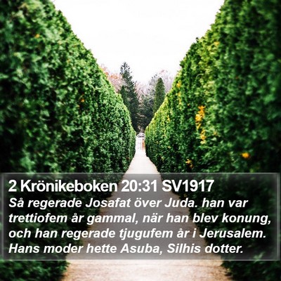 2 Krönikeboken 20:31 SV1917 Bible Verse Image