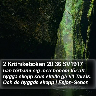 2 Krönikeboken 20:36 SV1917 Bible Verse Image