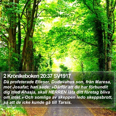 2 Krönikeboken 20:37 SV1917 Bible Verse Image