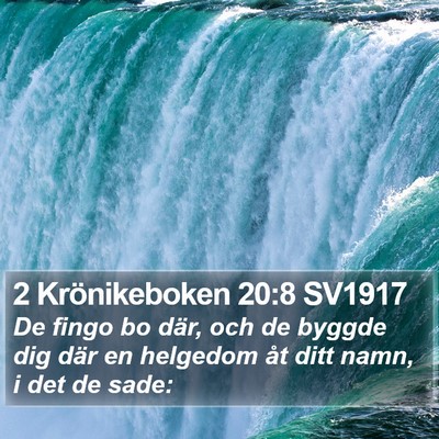 2 Krönikeboken 20:8 SV1917 Bible Verse Image