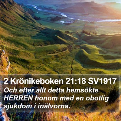 2 Krönikeboken 21:18 SV1917 Bible Verse Image