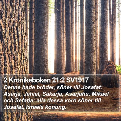 2 Krönikeboken 21:2 SV1917 Bible Verse Image