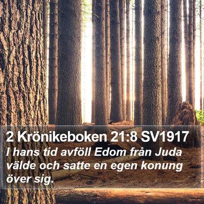 2 Krönikeboken 21:8 SV1917 Bible Verse Image