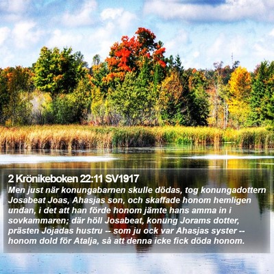 2 Krönikeboken 22:11 SV1917 Bible Verse Image