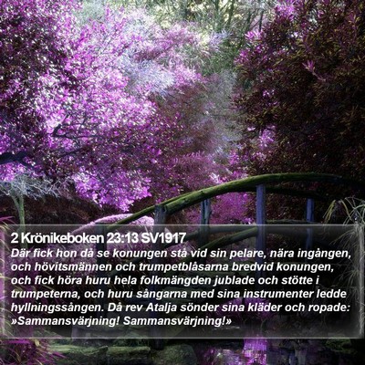 2 Krönikeboken 23:13 SV1917 Bible Verse Image