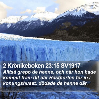 2 Krönikeboken 23:15 SV1917 Bible Verse Image