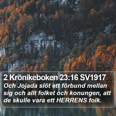 2 Krönikeboken 23:16 SV1917 Bible Verse Image