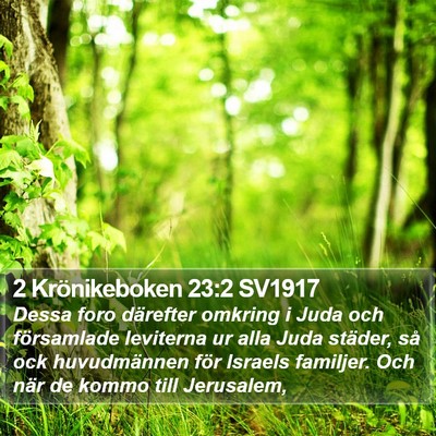 2 Krönikeboken 23:2 SV1917 Bible Verse Image
