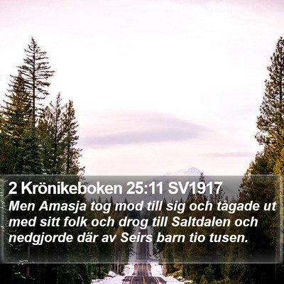 2 Krönikeboken 25:11 SV1917 Bible Verse Image