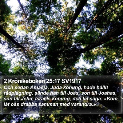 2 Krönikeboken 25:17 SV1917 Bible Verse Image