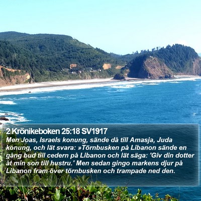 2 Krönikeboken 25:18 SV1917 Bible Verse Image