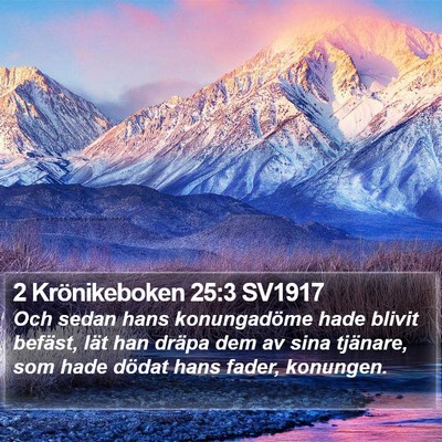 2 Krönikeboken 25:3 SV1917 Bible Verse Image