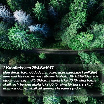 2 Krönikeboken 25:4 SV1917 Bible Verse Image