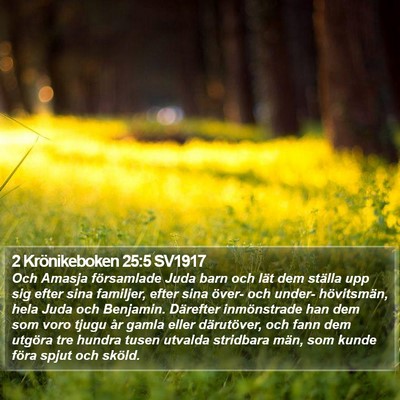 2 Krönikeboken 25:5 SV1917 Bible Verse Image