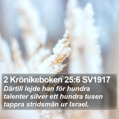 2 Krönikeboken 25:6 SV1917 Bible Verse Image