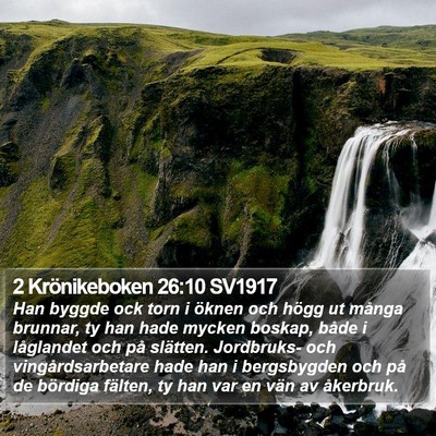2 Krönikeboken 26:10 SV1917 Bible Verse Image