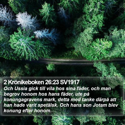 2 Krönikeboken 26:23 SV1917 Bible Verse Image