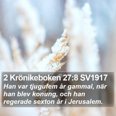 2 Krönikeboken 27:8 SV1917 Bible Verse Image