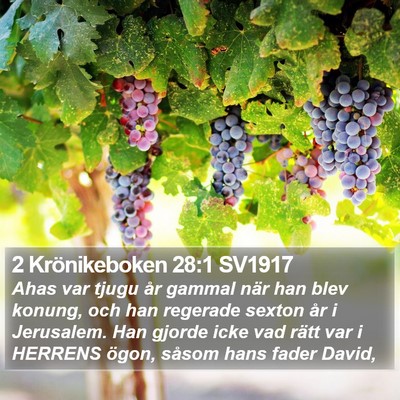 2 Krönikeboken 28:1 SV1917 Bible Verse Image