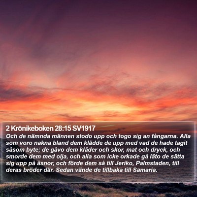 2 Krönikeboken 28:15 SV1917 Bible Verse Image