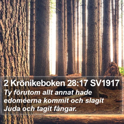 2 Krönikeboken 28:17 SV1917 Bible Verse Image