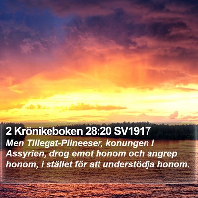 2 Krönikeboken 28:20 SV1917 Bible Verse Image