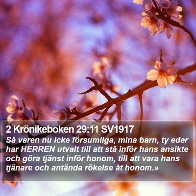2 Krönikeboken 29:11 SV1917 Bible Verse Image