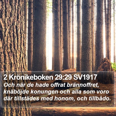 2 Krönikeboken 29:29 SV1917 Bible Verse Image