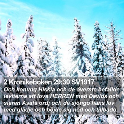 2 Krönikeboken 29:30 SV1917 Bible Verse Image