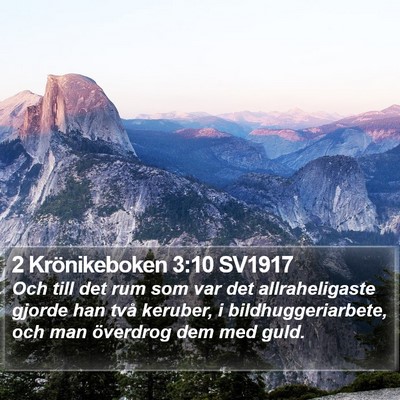 2 Krönikeboken 3:10 SV1917 Bible Verse Image