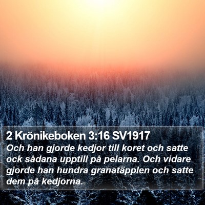2 Krönikeboken 3:16 SV1917 Bible Verse Image
