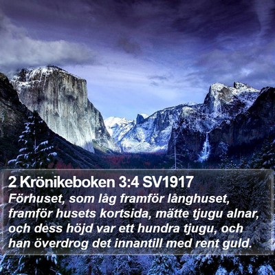 2 Krönikeboken 3:4 SV1917 Bible Verse Image