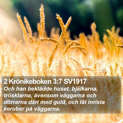 2 Krönikeboken 3:7 SV1917 Bible Verse Image