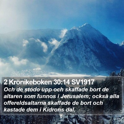 2 Krönikeboken 30:14 SV1917 Bible Verse Image
