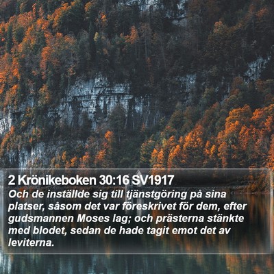 2 Krönikeboken 30:16 SV1917 Bible Verse Image