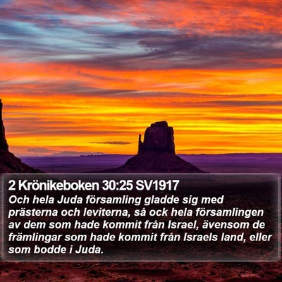 2 Krönikeboken 30:25 SV1917 Bible Verse Image