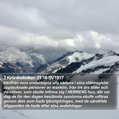 2 Krönikeboken 31:16 SV1917 Bible Verse Image