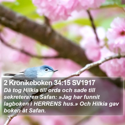 2 Krönikeboken 34:15 SV1917 Bible Verse Image